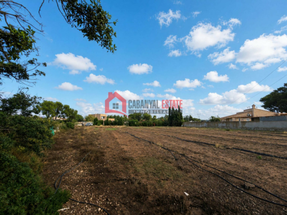 Land In Náquera (1.447 M² Plot)