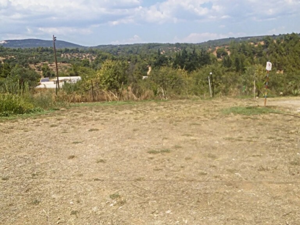 Land In Sithonia, Greece