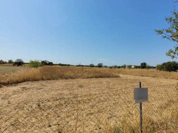 Land In Thermi, Greece