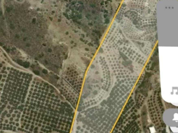 Land In Itanos, Greece