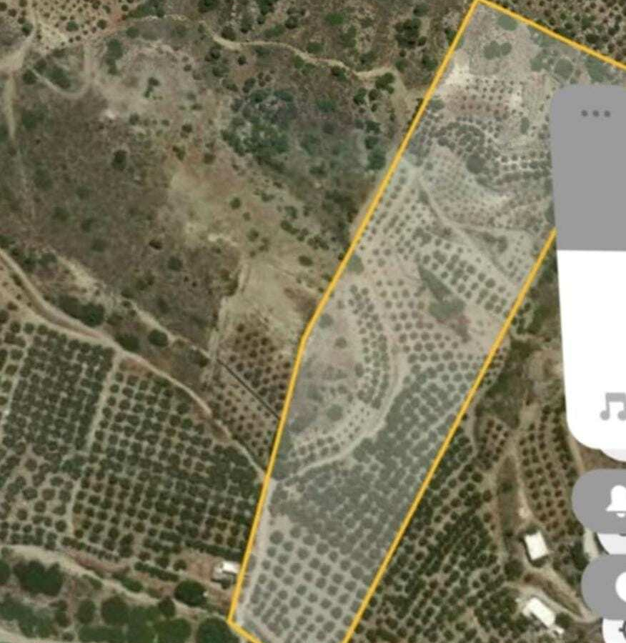 Land In Itanos, Greece
