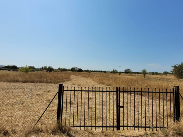 Land In Thermi, Greece