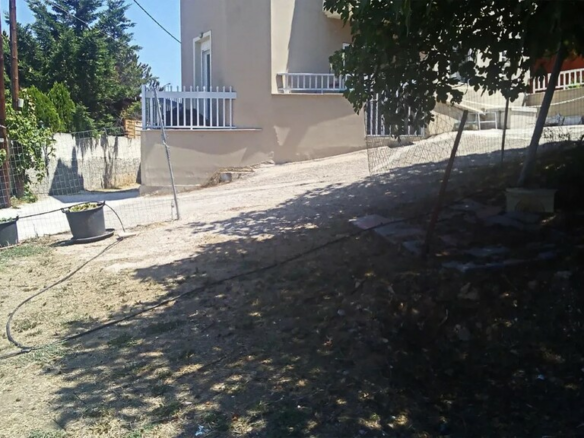 Land In Sithonia, Greece