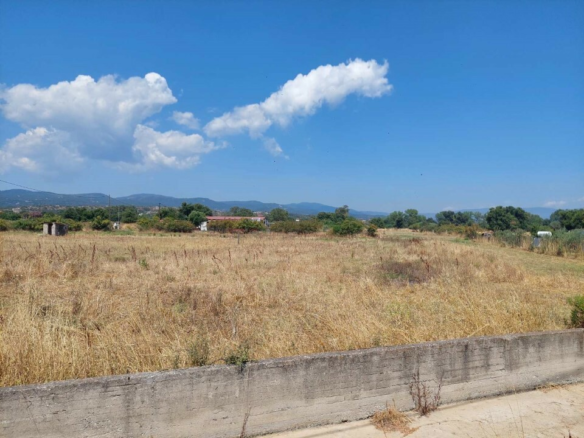 Land In Aristotle, Greece