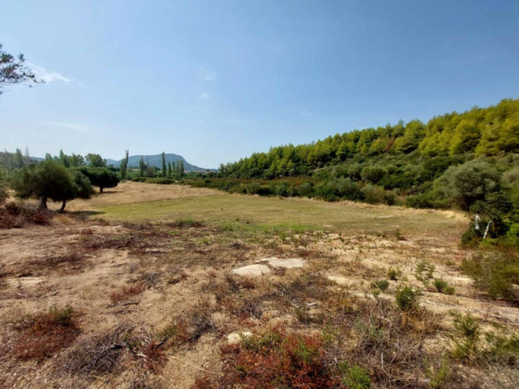 Land In Sithonia, Greece