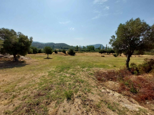 Land In Sithonia, Greece