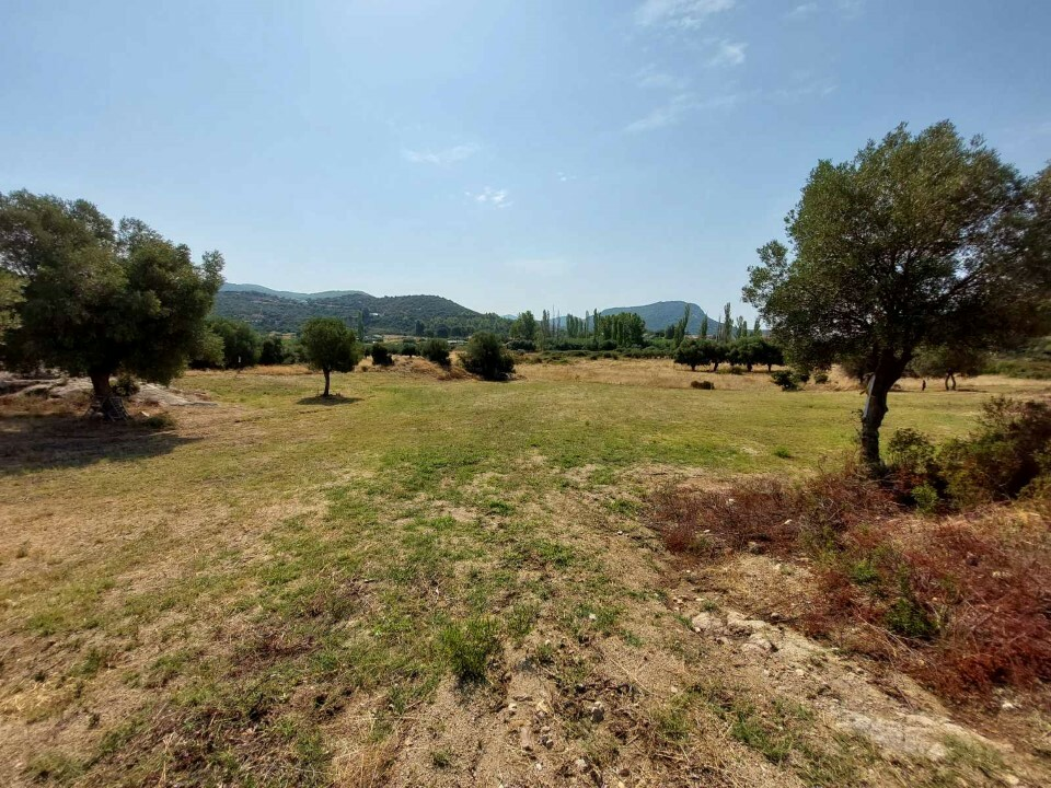 Land In Sithonia, Greece