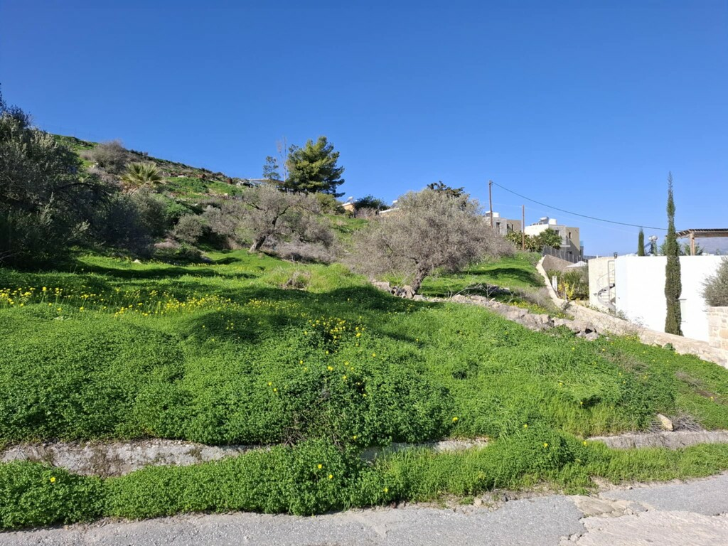Land In Timpaki, Greece