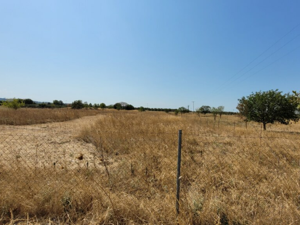 Land In Thermi, Greece