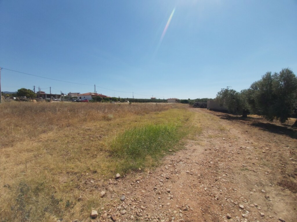Land In Poligiros, Greece