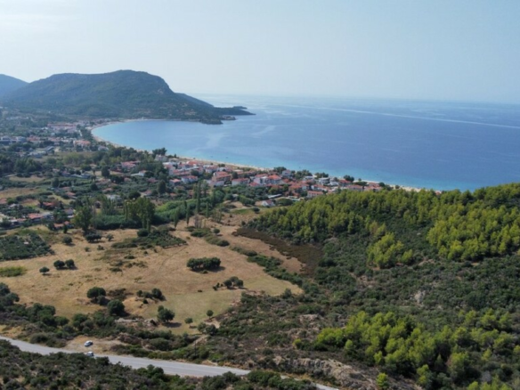 Land In Sithonia, Greece