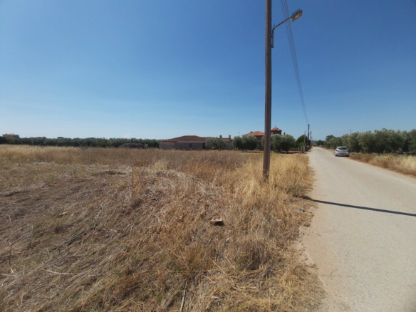 Land In Poligiros, Greece