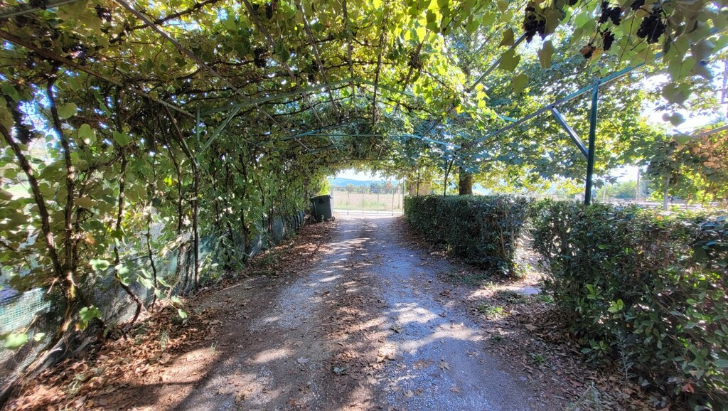 4-bedroom Detached House In Lagkadas, Greece (250 M²)