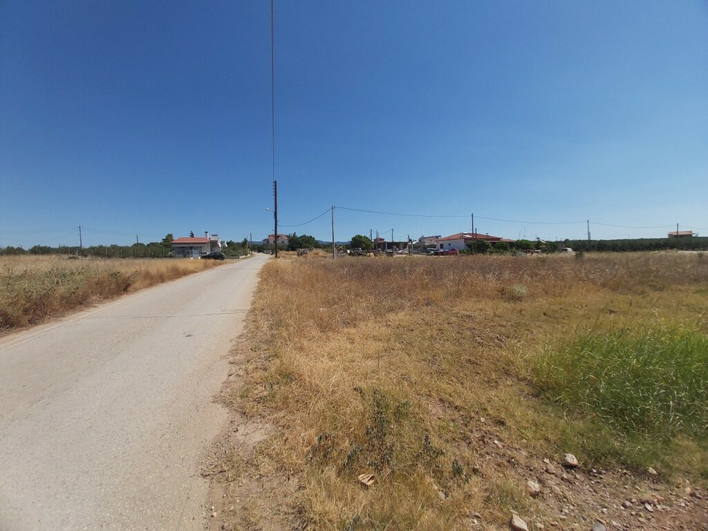 Land In Poligiros, Greece