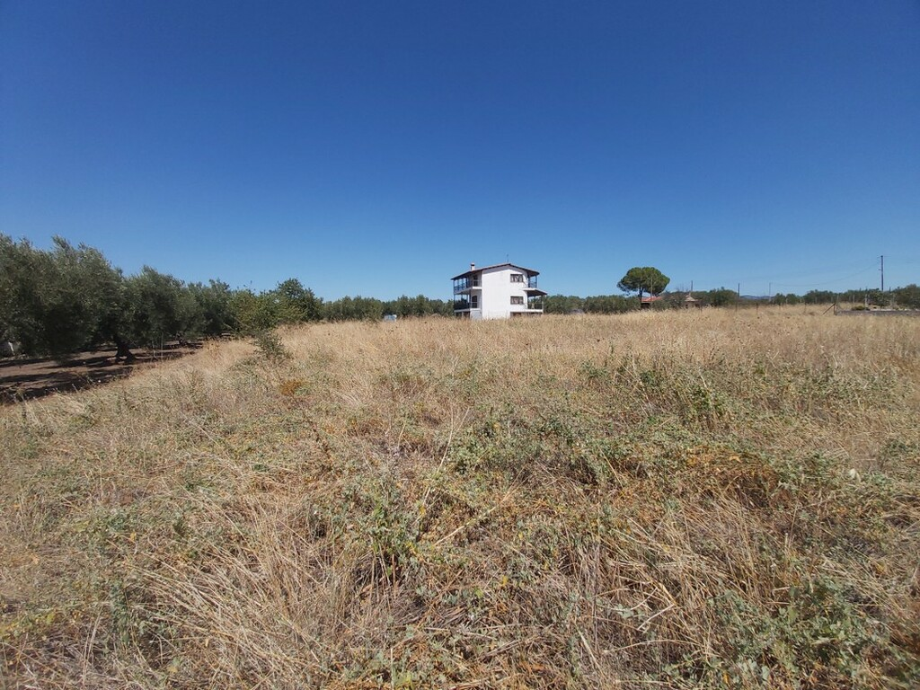 Land In Poligiros, Greece