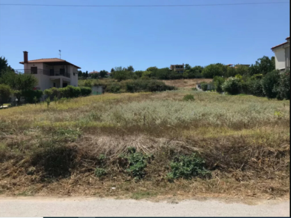 Land In Kassandra, Greece