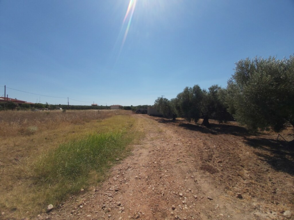 Land In Poligiros, Greece