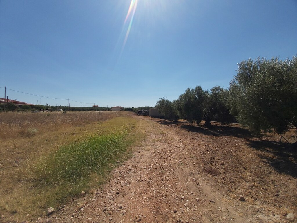 Land In Poligiros, Greece