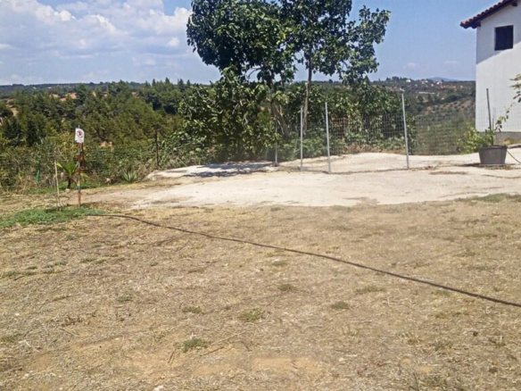 Land In Sithonia, Greece