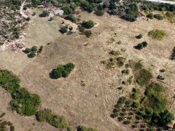 Land In Sithonia, Greece