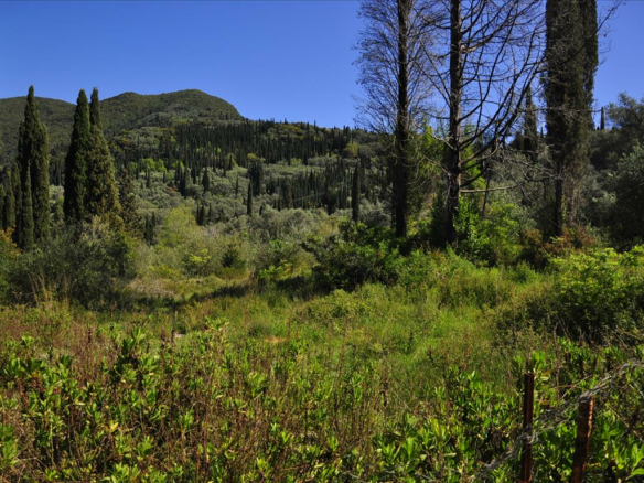 Land In Corfu, Greece