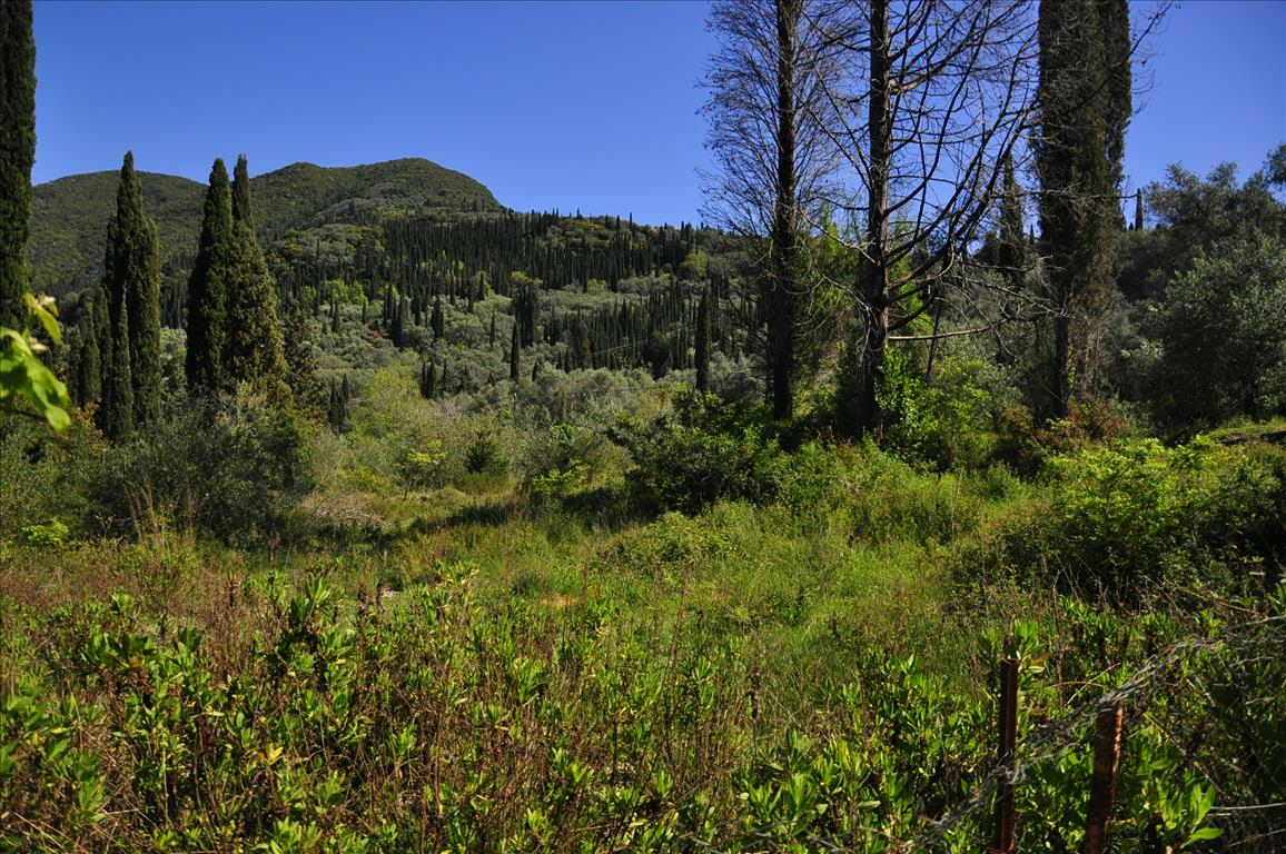 Land In Corfu, Greece