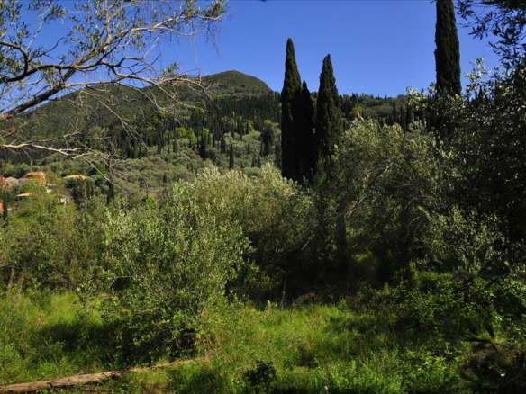 Land In Corfu, Greece