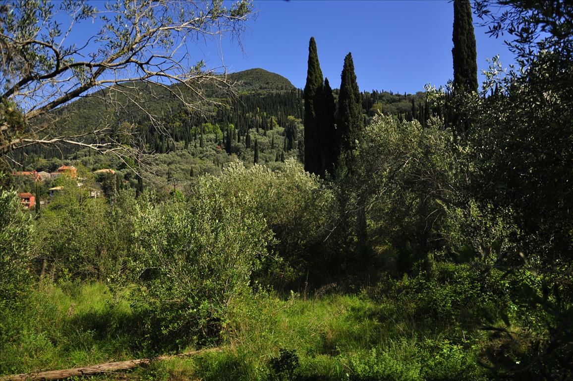 Land In Corfu, Greece