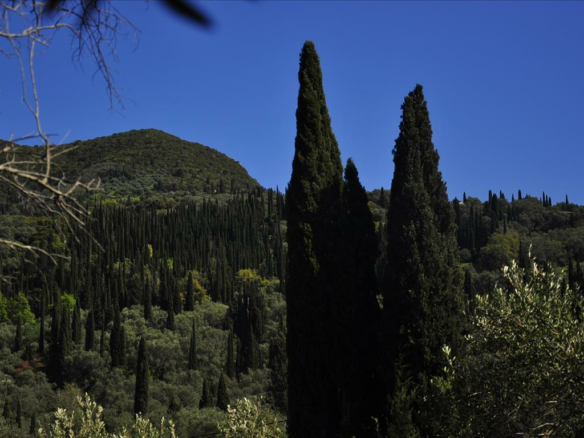 Land In Corfu, Greece