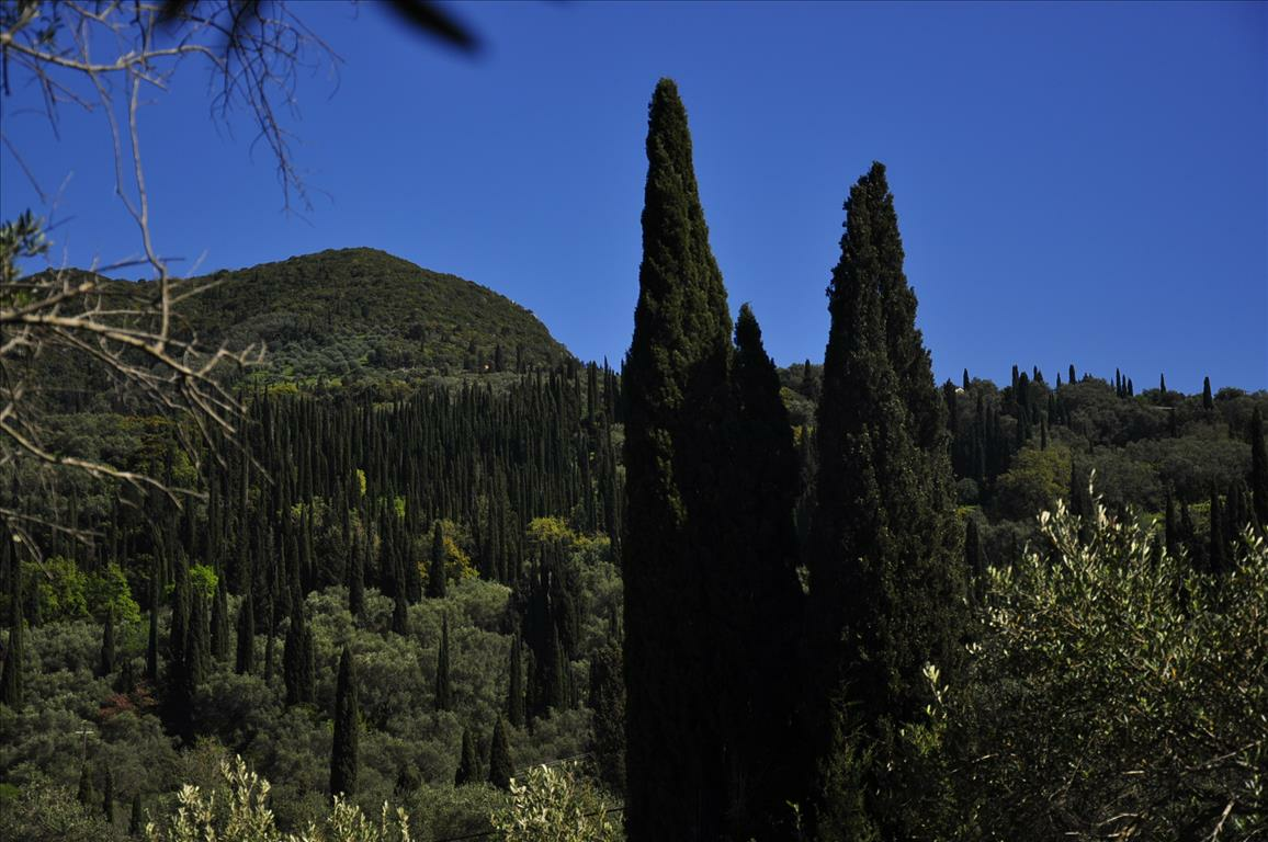 Land In Corfu, Greece
