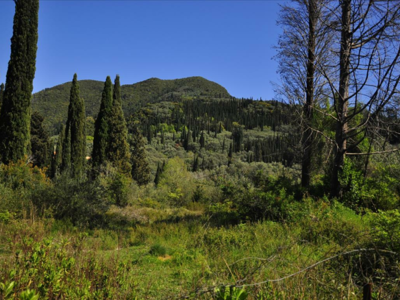 Land In Corfu, Greece