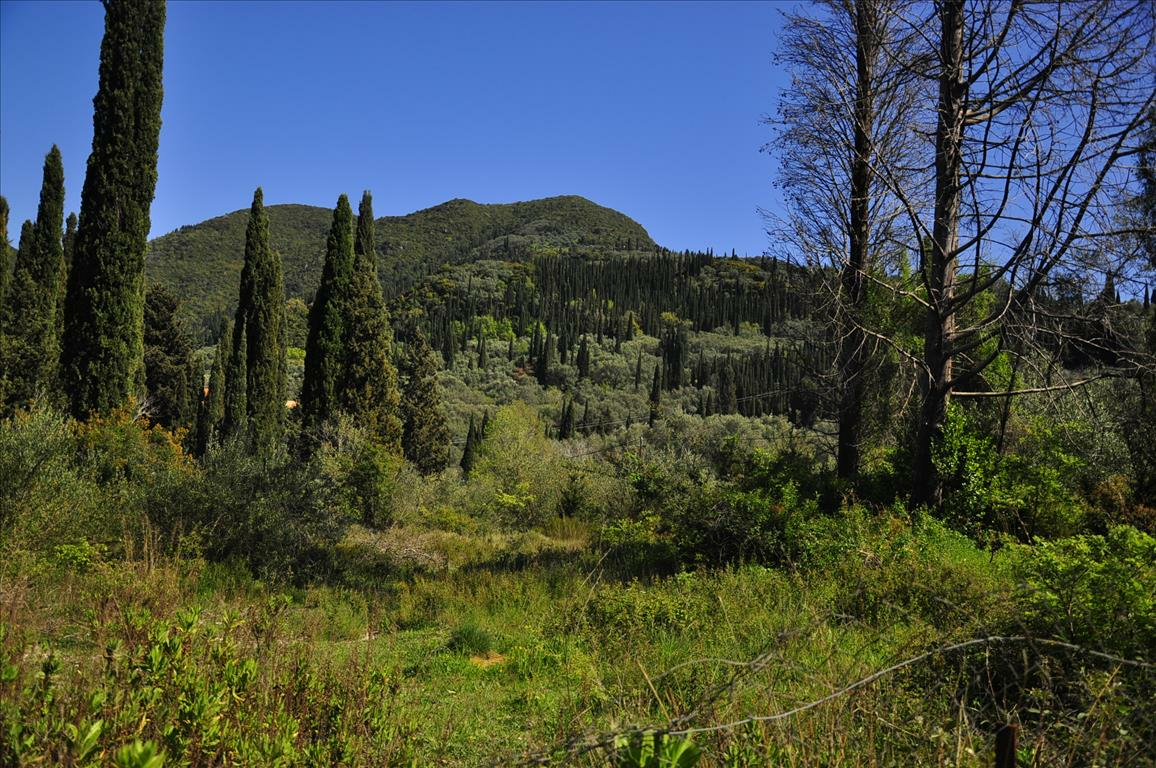 Land In Corfu, Greece