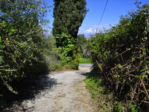 Land In Corfu, Greece