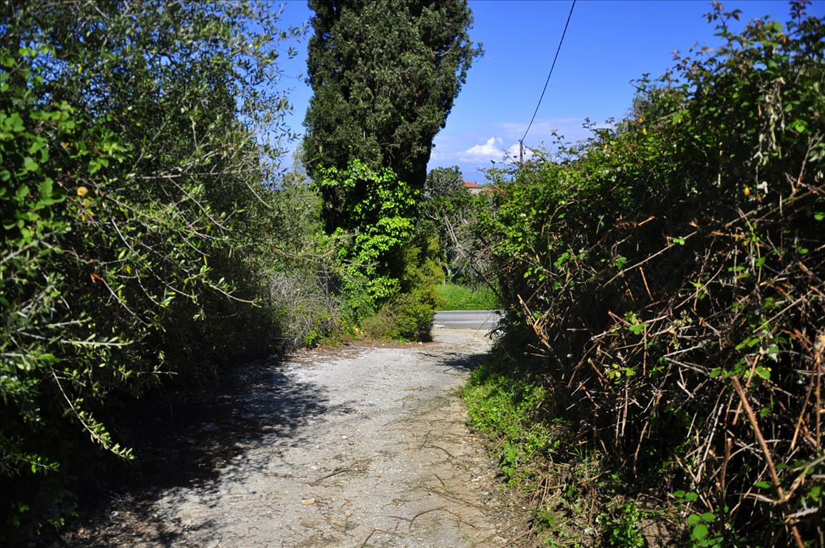 Land In Corfu, Greece