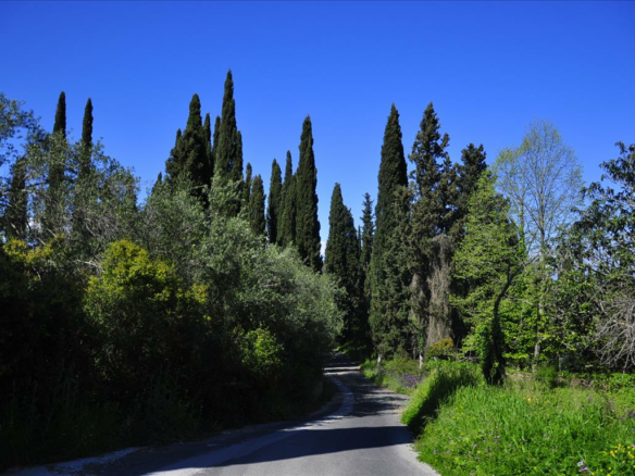 Land In Corfu, Greece