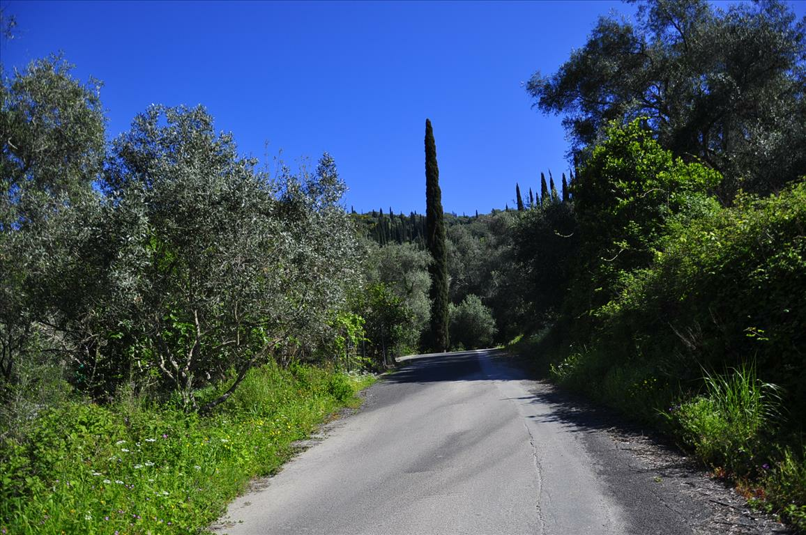 Land In Corfu, Greece
