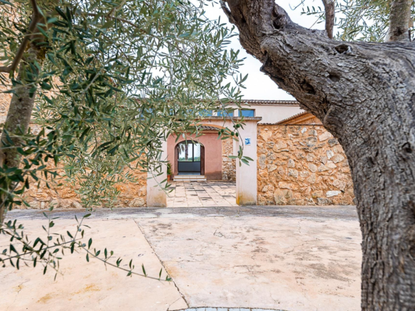 6-bedroom Finca In Binissalem, Spain (48.474 M²)