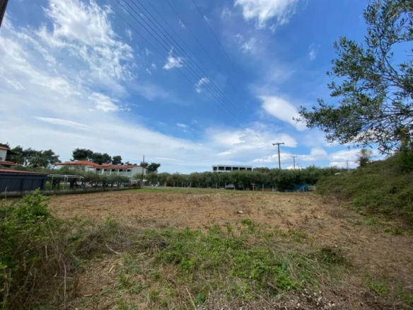 Land In Sithonia, Greece