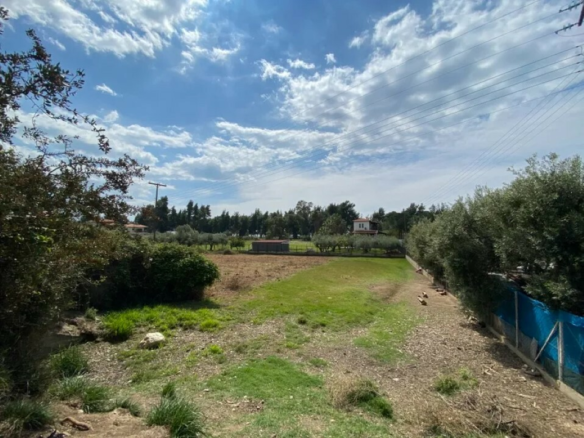 Land In Sithonia, Greece