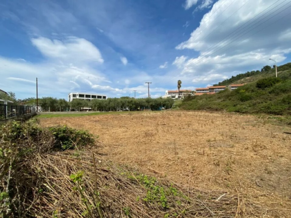 Land In Sithonia, Greece