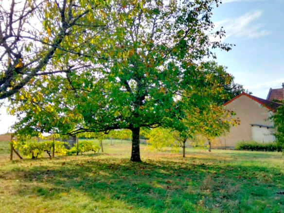 2-bedroom Village House In Bioussac, France (125 M²)