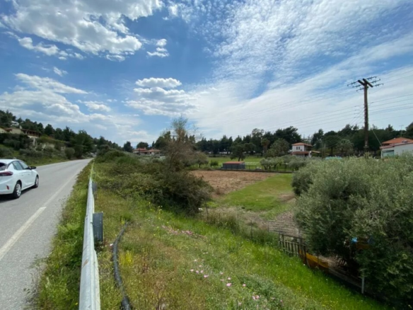 Land In Sithonia, Greece