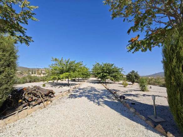4-bedroom Detached Villa In Pinoso, Spain (169 M²)
