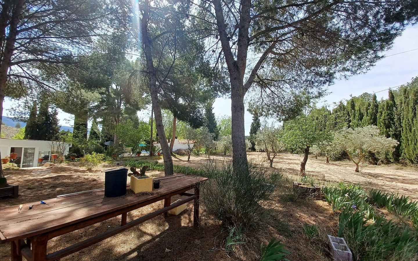 5-bedroom Detached Villa In Sax, Spain (222 M²)