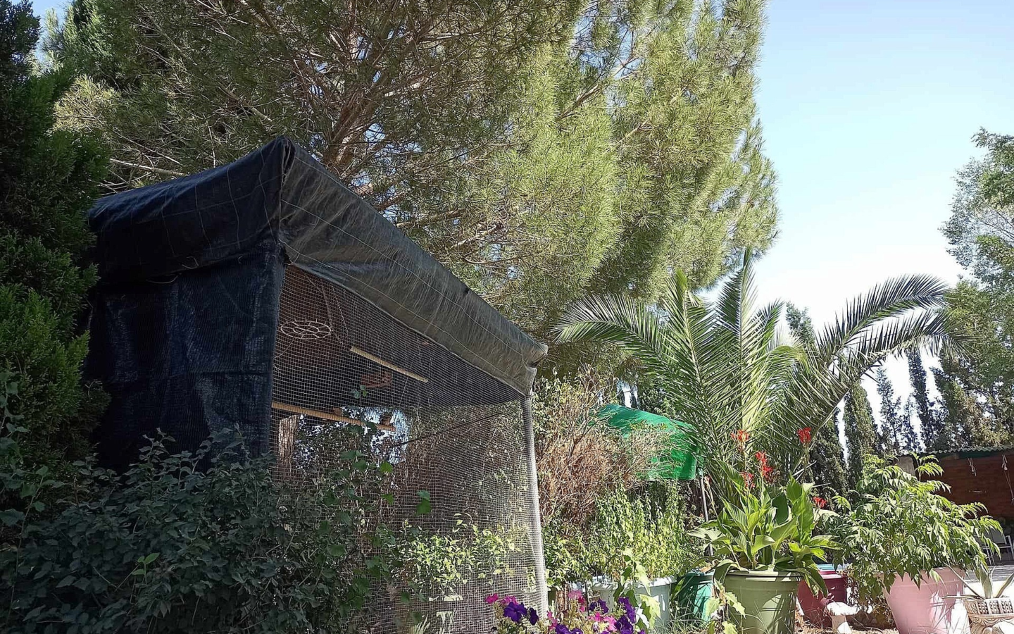 5-bedroom Detached Villa In Sax, Spain (222 M²)