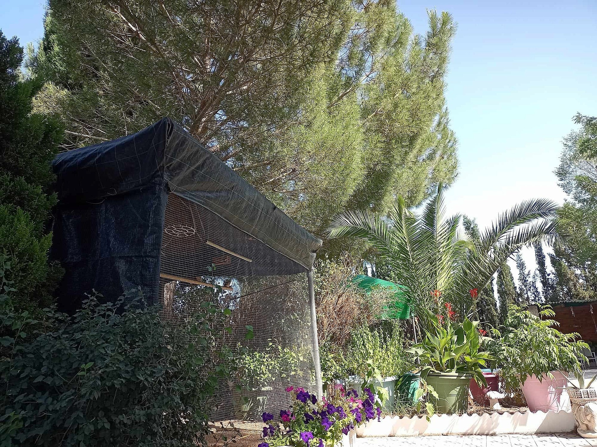 5-bedroom Detached Villa In Sax, Spain (222 M²)
