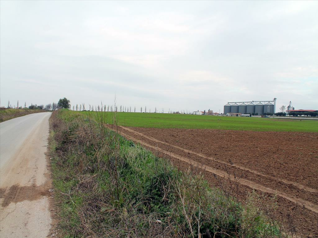 Land In Epanomi, Greece