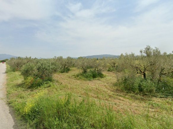 Land In Thermi, Greece