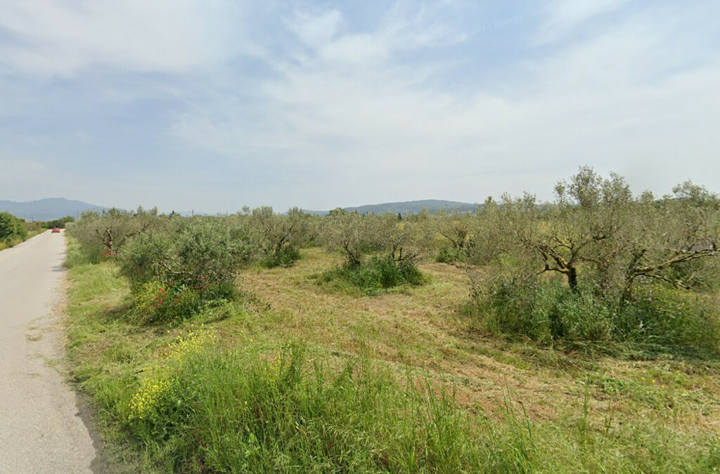 Land In Thermi, Greece