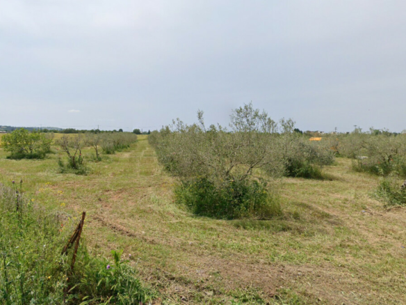 Land In Thermi, Greece